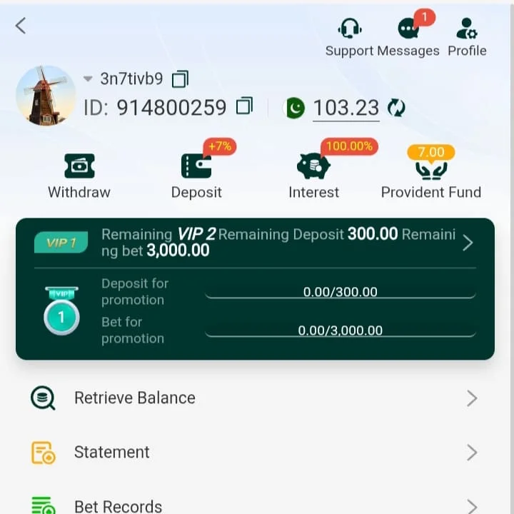 Seven Game Profile Screenshot
